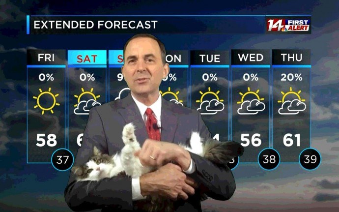 Meet ‘Betty The Weather Cat’, The Kitty Who Went Viral After Bombing Her Meteorologist Dad’s At-Home Forecast