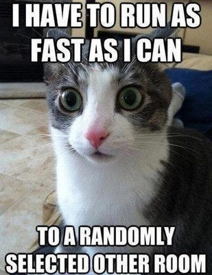 Funny Animal Videos Will Cheer You Up #57