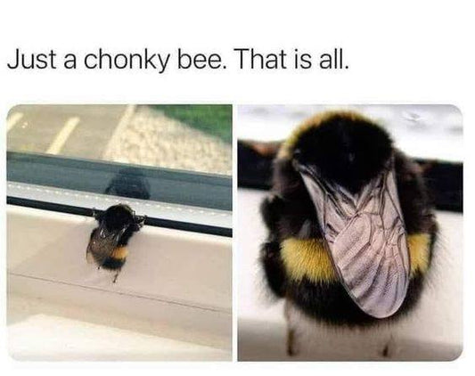 Funny Animal Videos Will Cheer You Up #228