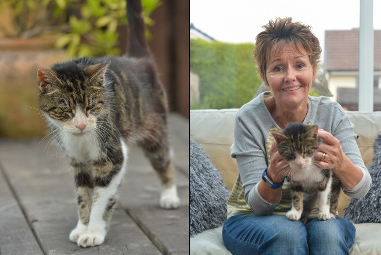 This Elderly Cat Found Her Way Back Home After Going Missing For 13 Years