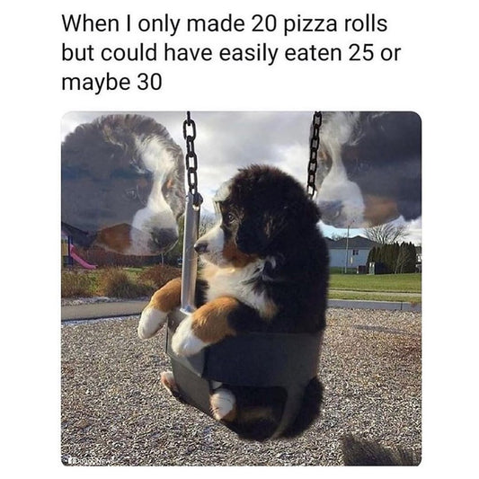 Funny Animal Videos Will Cheer You Up #199